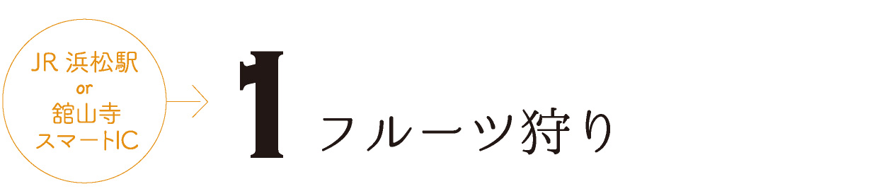 フルーツ狩り