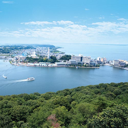 家康公の気力と体力を支えた浜松の旬の海の幸・山の幸