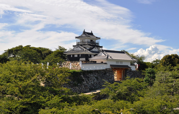 Hamamatsu Castle
