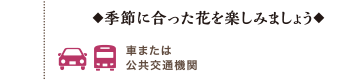 ◆季節に合った花を楽しみましょう◆車または公共交通機関