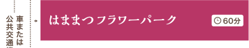 はままつフラワーパーク 60分