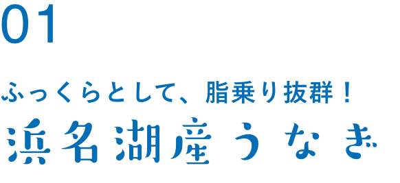 ふっくらとして、脂乗り抜群！浜名湖産うなぎ