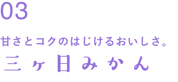 甘さとコクのはじけるおいしさ。三ヶ日みかん