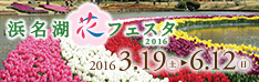 浜名湖花フェスタ2016
