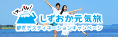 アッパレ しずおか元気旅 静岡デスティネーションキャンペーンin浜松