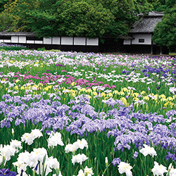 加茂荘花鳥園