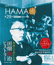 HAMA流29号