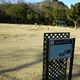 写真：浜松市営元城プール跡